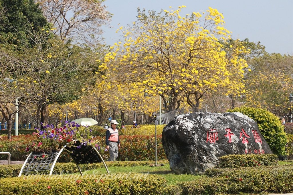 繁花再現的廍子公園