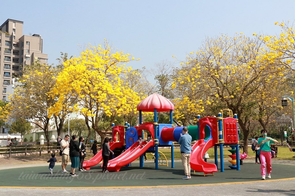 繁花再現的廍子公園