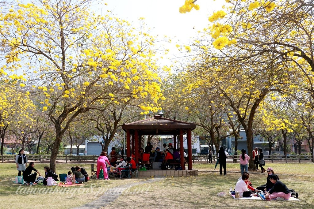 繁花再現的廍子公園