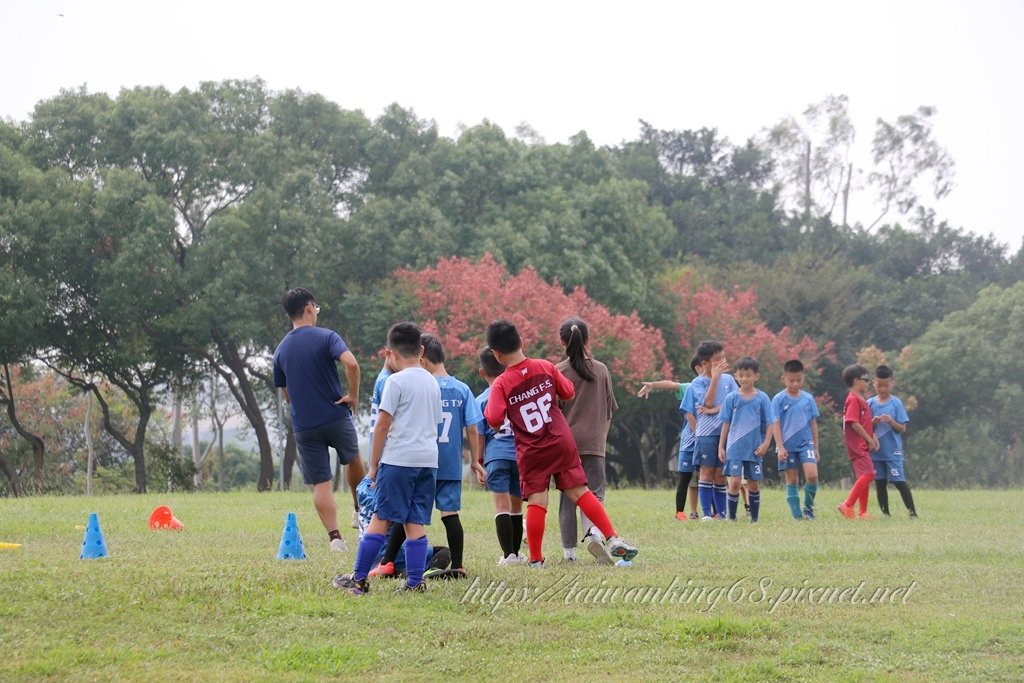 秋意甚濃的台中后里環保公園