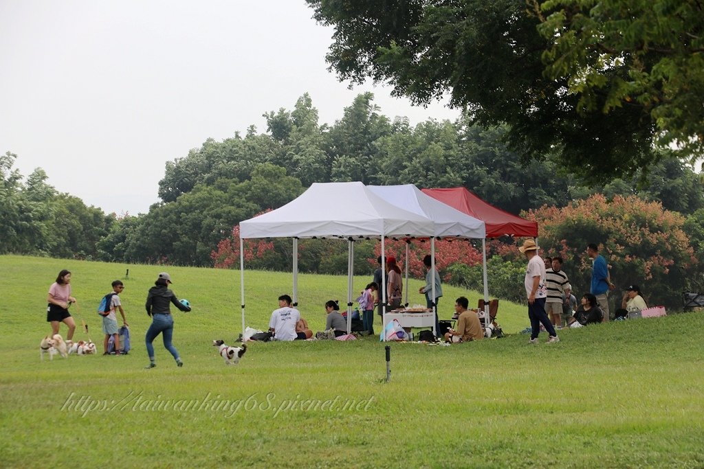 秋意甚濃的台中后里環保公園