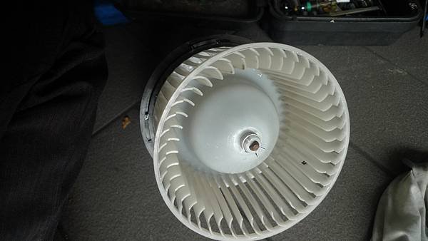P1760329.JPG
