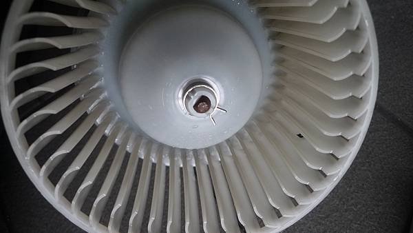 P1760330.JPG