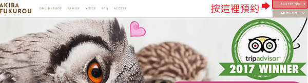 owl cafe.png