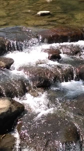 IMAG0199