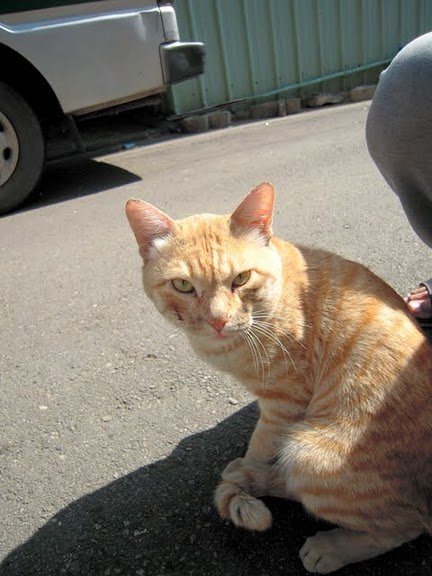 DSCN5763.JPG