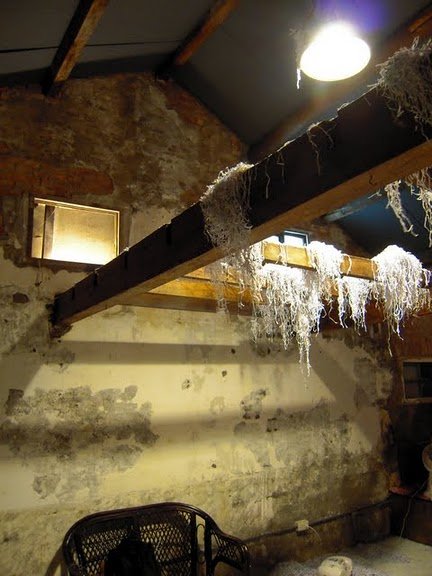 DSCN8009.JPG