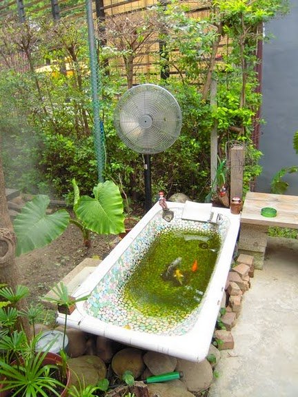 DSCN8170.JPG