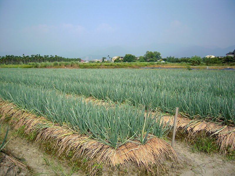 DSCN9346.JPG