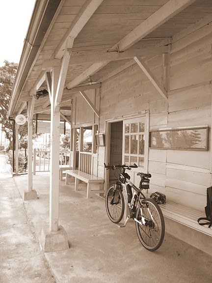 DSCN9391.JPG