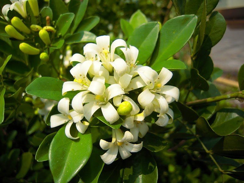 DSCN9395.JPG