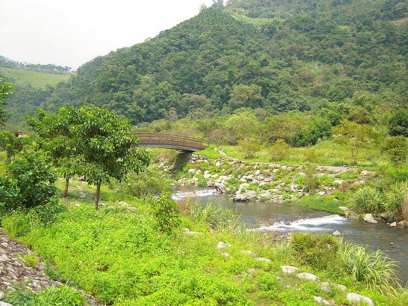 DSCN9418.JPG