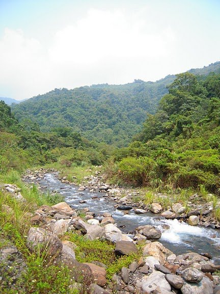 DSCN9430.JPG