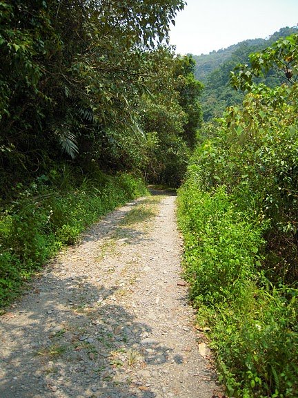DSCN9434.JPG