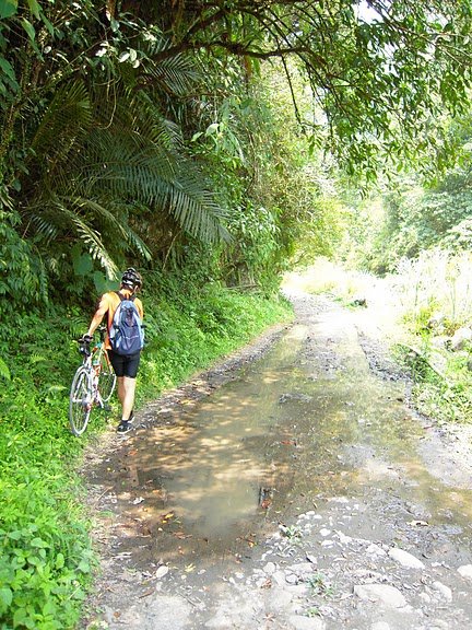 DSCN9437.JPG