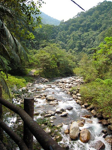 DSCN9465.JPG