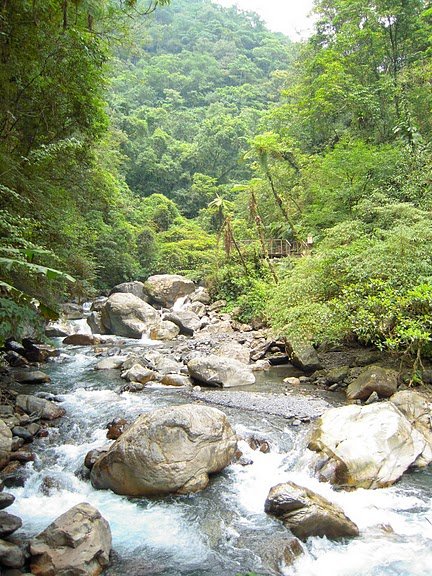 DSCN9509.JPG
