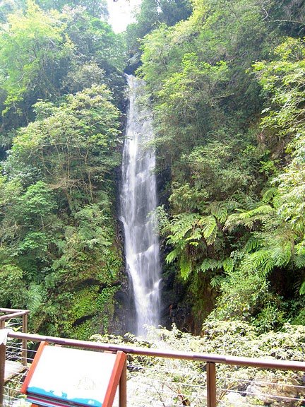 DSCN9510.JPG