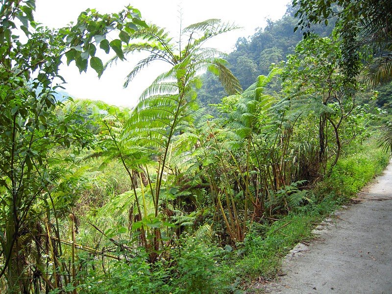 DSCN9553.JPG