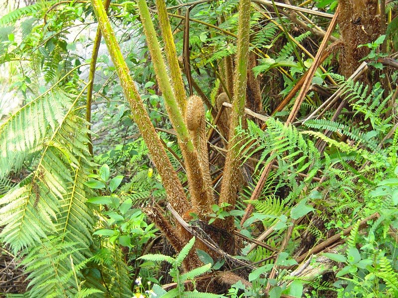 DSCN9559.JPG