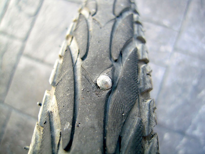 DSCN9584.JPG