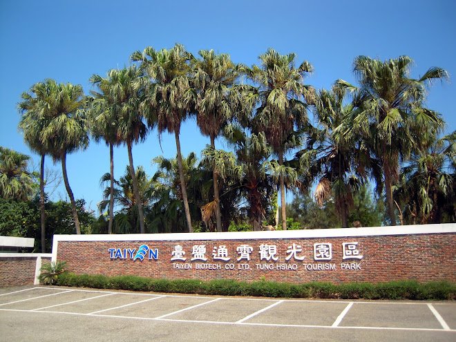 DSCN4330