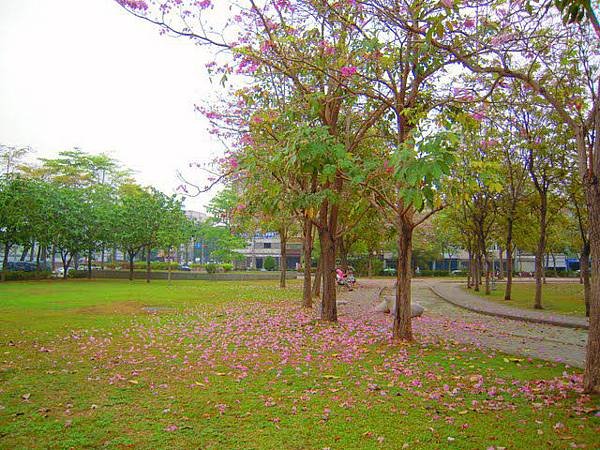 DSCN9094.JPG