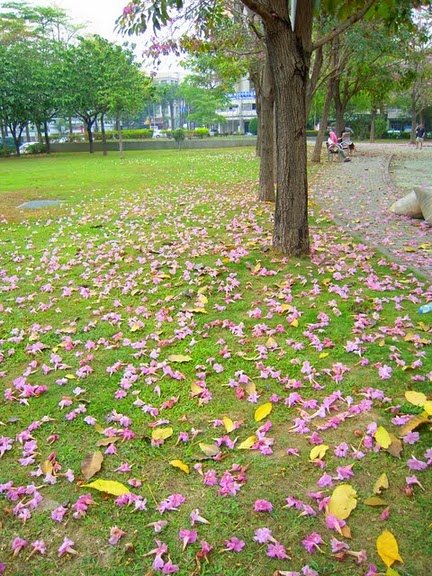 DSCN9101.JPG