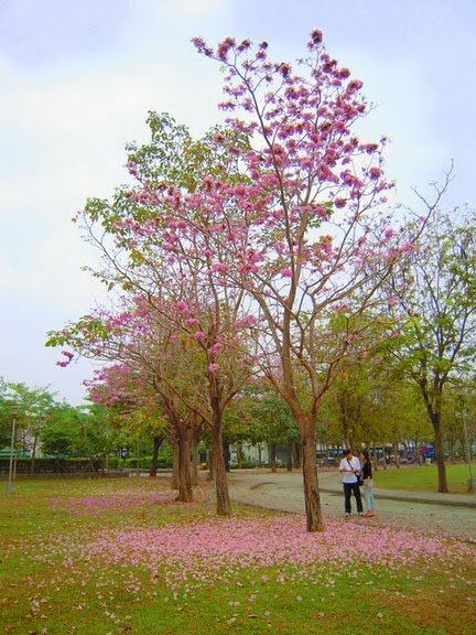 DSCN9109.JPG