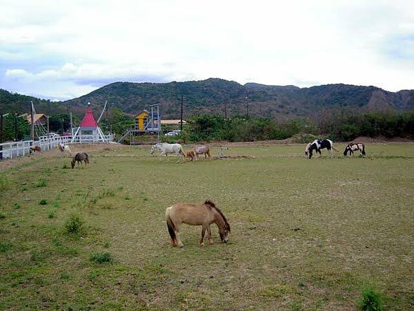 DSCN7229.JPG