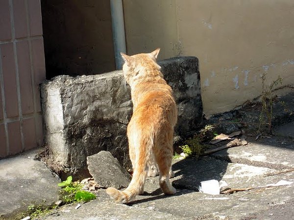 DSCN5776.JPG
