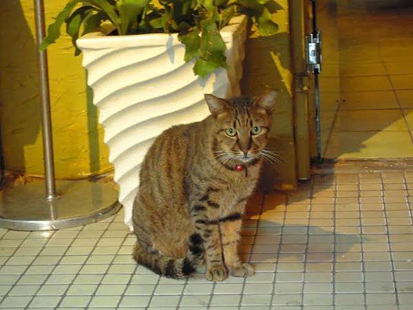 DSCN3679.JPG