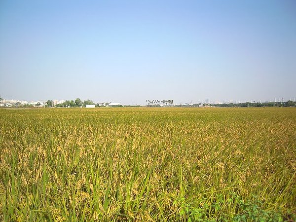 DSCN4291.JPG