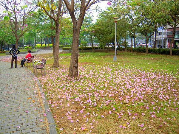 DSCN9104.JPG