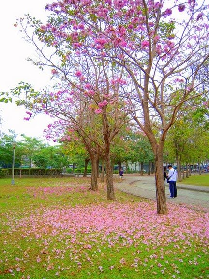 DSCN9113.JPG