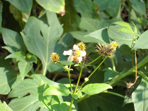 DSCN4365.JPG