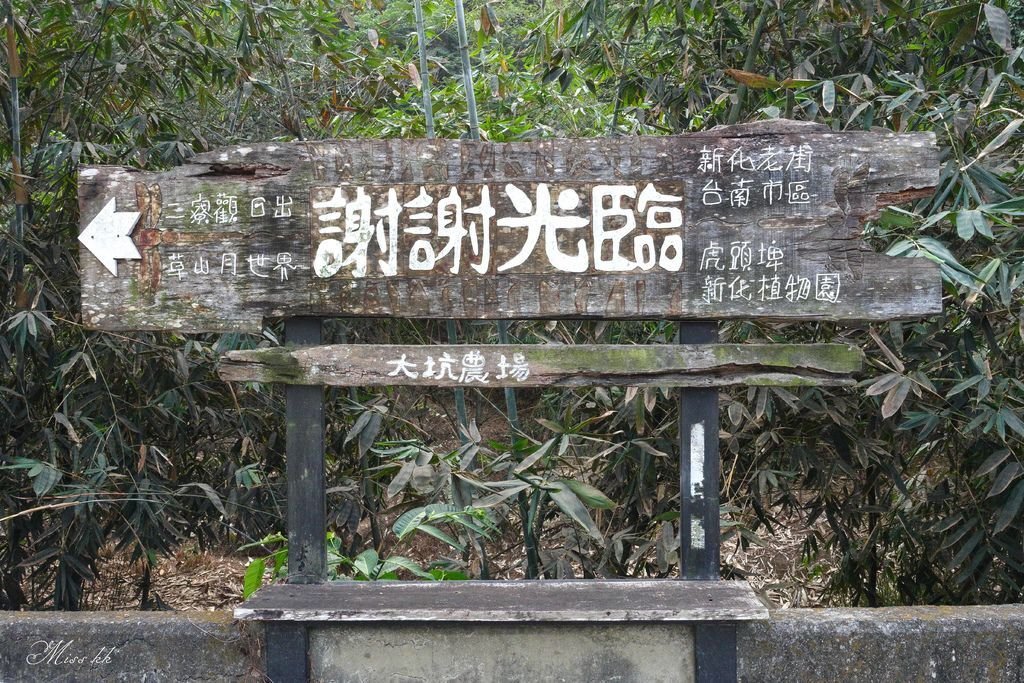 DSC00146.jpg
