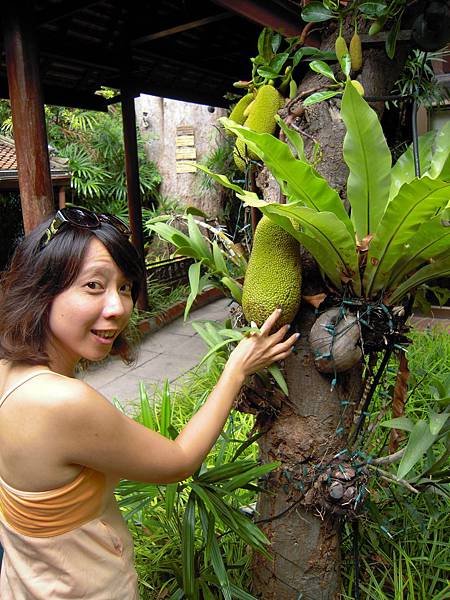 DSCN1518.JPG