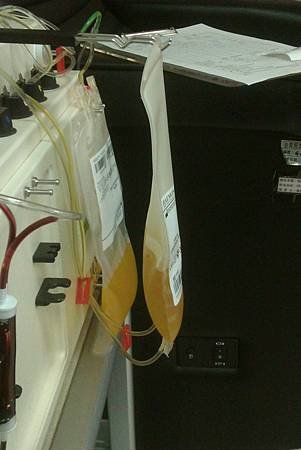 IMAG0591.jpg