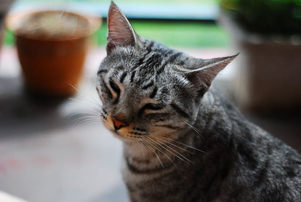 DSC_6671.JPG