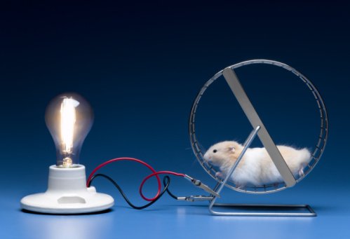 hamster_electricity.jpg