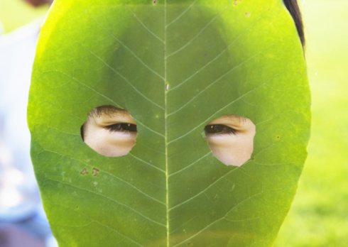 leaf mask.jpg