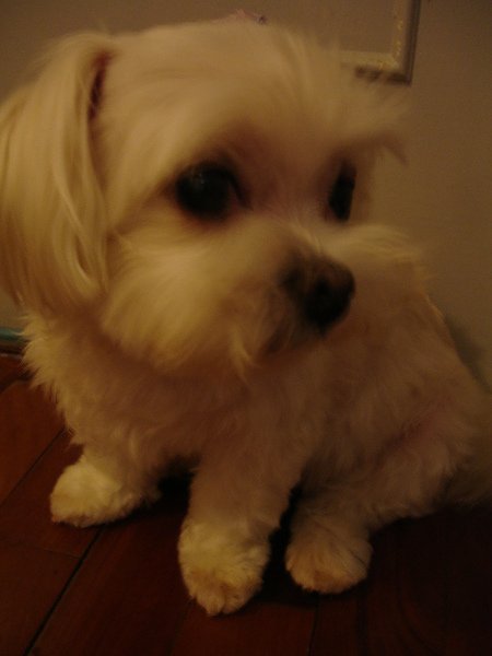 DSC02009.JPG