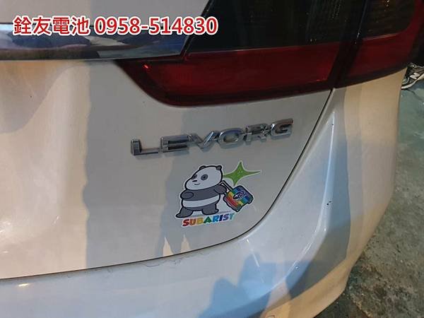 1101011-LEVORG-1.jpg
