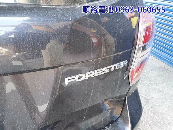 1101206-FORESTER-1.jpg