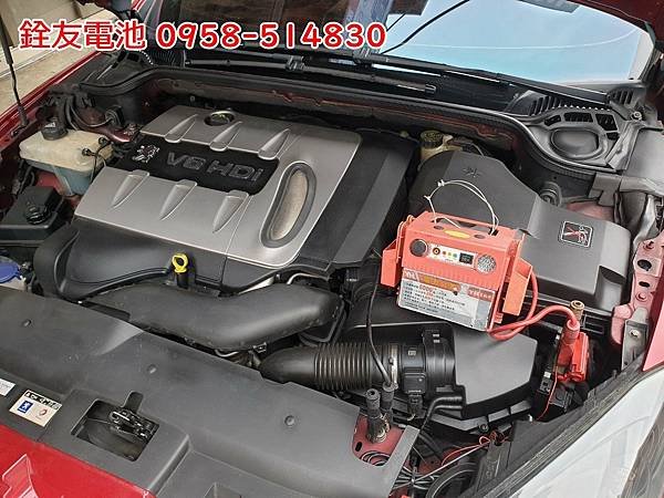1120606-標誌RCZ-2.jpg