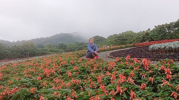 北投三層崎公園半日遊