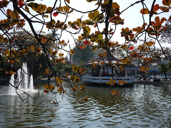 P1010020.JPG