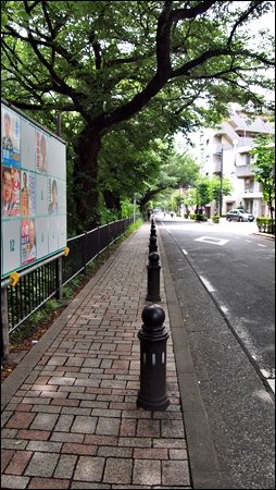 P6252880.JPG
