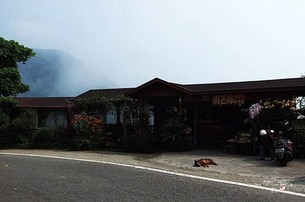 030.JPG